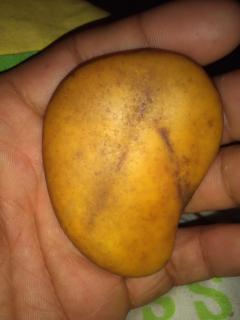 请问大师,这是哪种玉原石?手电能完全照透