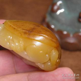 天然新疆和田玉黑皮黄沁籽料龙龟把件 玉种肉沁鸡油黄沁 苏