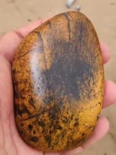 和田玉黑皮石包玉